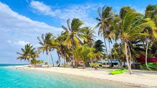 Relaxing Bossa Nova Jazz Music at the Beach with Ocean Waves to Relax [upl. by Sherj449]