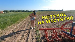 MOTYKOL ZWALCZY KAŻDY CHWAST  GRACOWANIE DYNI EKOPIELNIKIEM AgroLovers [upl. by Adiehsar101]