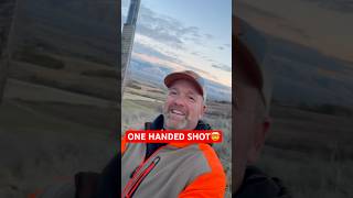 ONE HANDED SHOT Big roody down uplanduplandhuntingpheasanthunting [upl. by Oicirbaf536]