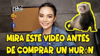 Mira este Video antes de comprar un Huron [upl. by Itida]