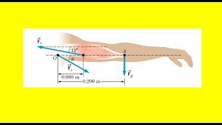 The arm in the figure below weighs [upl. by Akcimehs597]