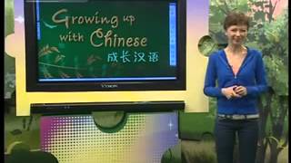 Lesson 06 Growing up with Chinese [upl. by Selrac873]