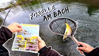 Ich fange einen Traumfisch 😍  Bachforellen Angeln am Bach [upl. by Aivekahs27]