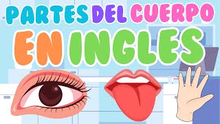 ✨🌈Partes del cuerpo en ingles para niños✨🌈 [upl. by Gelasius]