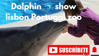 MustSee Portugal HD Dolphin Show Exposed [upl. by Dnomyar545]