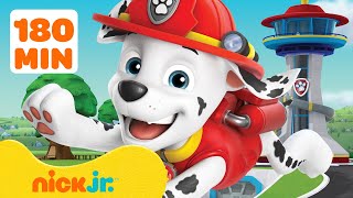 Patrulha Canina  Os Resgates Mais Ousados de Marshall da Patrulha Canina 🚒 3 Horas  Nick Jr [upl. by Nylaj779]