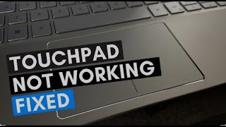 Dell Touchpad Not Working in Windows 1087 2024 Tutorial [upl. by Eddana]