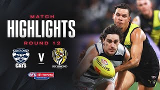 Geelong Cats v Richmond Highlights  Round 12 2024  AFL [upl. by Eatnohs443]