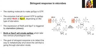 Unit 5 Lecture 1 Microbial Stress Response Fall 2024 [upl. by Gustie156]