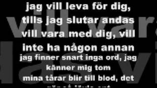 AMC  Jag kan inte ljuga för dig lyrics [upl. by Yelrebmyk]