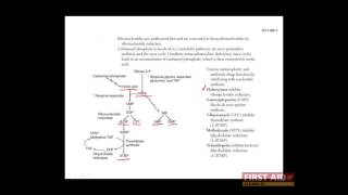 First Aid for the USMLE Step 1 BIOCHEM  02  Nucleotide metabolism [upl. by Maegan]