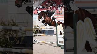 Was für ein Wochenende 🤩 turnierdersieger münster reitsport pferde reiten [upl. by Codee102]