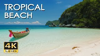 4K Tropical Beach  Relaxing Sea Ocean Wave Sounds amp Ultra HD Nature Video  Meditate Yoga Sleep [upl. by Serafine]