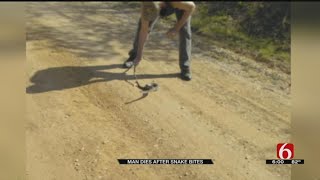 Man Dies After Rattlesnake Bites Him Twice In Osage County [upl. by Aissatan194]