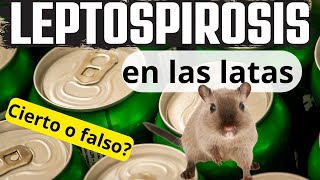 ¿Puedo enfermar de LEPTOSPIROSIS por beber en una latita [upl. by Arther627]