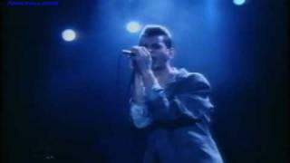 Depeche Mode  Leave In Silence Live In Hamburg 1984 [upl. by Nniuq970]