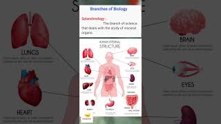 Splanchnology Branches of Biology [upl. by Gerri743]