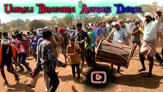 उमराली भगोरिया 2019  umrali bhagoria 2019  Adivasi dance video [upl. by Derfla183]