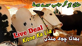 Kitne Ka Lia Live Deal  Bhatta Chowk Mandi Latest Update 18 June 2023 [upl. by Josias45]