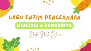 Lagu Enzim Pencernaan Manusia dan Fungsinya [upl. by Enrica]