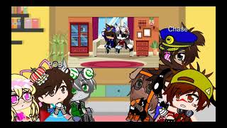 Paw patrol react [upl. by Cathy]