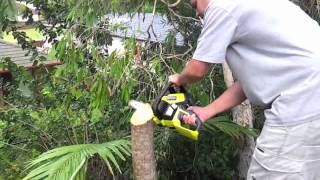 Ryobi 36v Chainsaw Review [upl. by Aimehs]