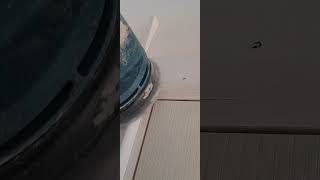 Architrave joints construction wood carpentry carpentrytips diy diywoodworking [upl. by Gatias]