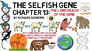 THE SELFISH GENE The Selfish Gene Chapter 13 The Long Reach of the Gene by Richard Dawkins [upl. by Slaby]