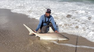 Playalinda beach surf fishing Titusville FL [upl. by Eintroc952]