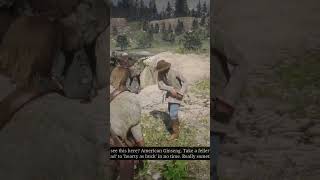 A tale from cash Come along wildflower child Meeting the naturalist rdr2 rockstargames Jrcash [upl. by Valdemar]