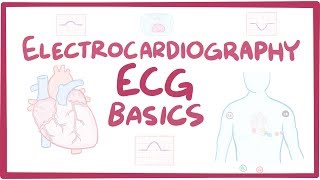 Electrocardiography ECGEKG  basics [upl. by Stander3]