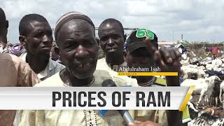 Sallah Rams PRICES and checking for ANTHRAX Disease [upl. by Dolph]