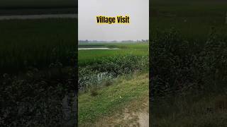 Village Tour  viralshorts ytshorts [upl. by Mani]