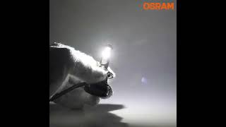 OSRAM H4 H11 H7 Led Bulb H1 9012 HIR2 HB2 HB3 9005 Hb4 9006 Car Lights Faro Led Moto 6000 [upl. by Annez]