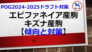 POG20242025 ドラフト対策【エピファネイア産駒・キズナ産駒】 [upl. by Humo759]