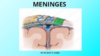 Meninges  Folds of Dura mater  Neurovascular supply  Neuroanatomy [upl. by Melantha236]