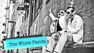 White Panda  Ice Cream Woman White Town amp Dorrough mashup remix [upl. by Averi]