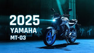 2025 Yamaha MT03  Price Specs amp Key Features Revealed [upl. by Tawnya423]