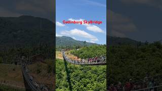 Gatlinburg SkyBridge [upl. by Rasla]