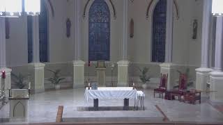 November 8 2024 at 800 am Catholic Mass from St Philip in Vacherie LA [upl. by Kcod526]