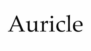 How to Pronounce Auricle [upl. by Nada]