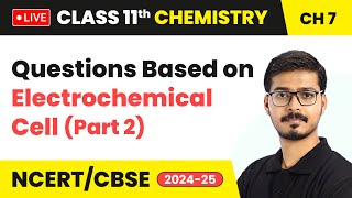 Questions Based on Electrochemical Cell Part 2  Redox Reactions  Class 11 Chemistry Ch 7 live [upl. by Amliv]