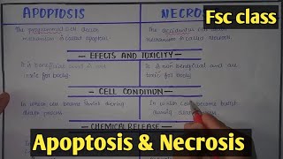 Apoptosis And Necrosis  Class 12 Biology [upl. by Atnim285]