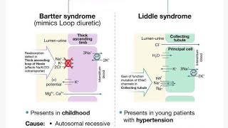 Bartter Syndrome [upl. by Oaht]