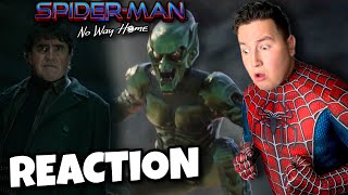 SpiderMan No Way Home Trailer 2 Reaction [upl. by Holms981]