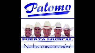 Palomo  No Me Conoces Aún Ranchera Version 2001 [upl. by Yim]