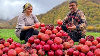 Real Life In An Azerbaijani Village The Best Videos Of Life In The Village In 2023 [upl. by Choong]