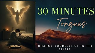 30 Minutes Praying In Tongues  Time With The Holy Spirit Welcome Holy Spirit [upl. by Disini]