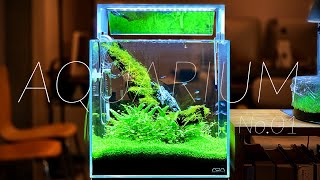 Making a 30cm Cube Aquarium Aquascaping [upl. by Aliet440]