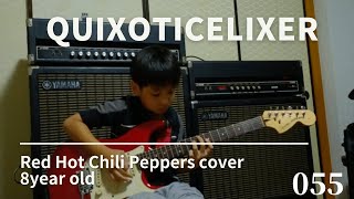 Red Hot Chili Peppers Quixoticelixer cover 8year old [upl. by Mick]